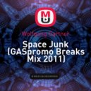 Wolfgang Gartner - Space Junk (GASpromo Breaks Mix 2011)