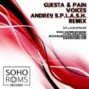 Guesta & Pain - Voices (Andrey S.p.l.a.s.h. remix)