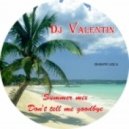 Dj.Валентин - Dont tell me goodbye