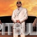 RJ Feat Pitbull - U Know Ain't Love