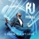 R.J. feat. Pitbull - U Know It Ain\'t Love (DJ NCIKY STAR christmas mashup)