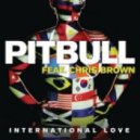Pitbull ft. Chris Brown - International Love (The WAV.s Remix)