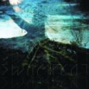 SWAMPCAT - Colony