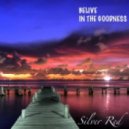 Silver Red - Believe in The Goodness (chillout mix) 2012-01-30