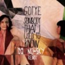 Gotye - Somebody That I Used to Know (DJ Nu-Sky Remix)