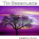 Tim Besamusca - Mea Culpa [original mix]