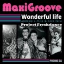 MaxiGroove - Wonderful Life