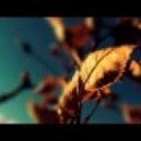 KO KO - So Strange