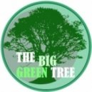 Clearance - The Big Green Tree