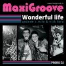 MaxiGroove - Wonderful Life (Dmitry South Remix)