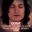 Gotye - Somebody that i used to know dj Ian remix