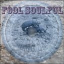 dnewb - fool Soulful