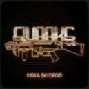 Skydroid & K100 - Quarks