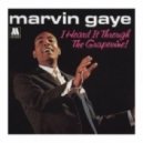 Avicii and Pixel Cheese vs Marvin Gaye - I Heard It Through the Grapevine (eSQUIRE Bootleg)