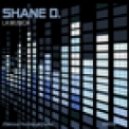 Shane D feat. Kerry Wood - Silence