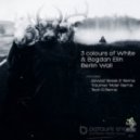 3 Colours Of White & Bogdan Elin - Berlin Wall (Max Quality remix)