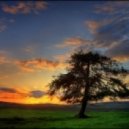 Thierry D - Sunset