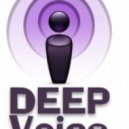 Deep Voice & Enjoy Deejays & Flippers - (Dj Gixer Mash mix)