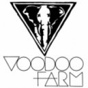 Notorious B.I.G - Get Money (VOODOO FARM REMIX)
