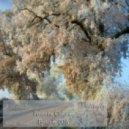 Butterfly - Favorite Colors Episode 006 (05.11.2011)