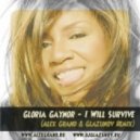 Gloria Gaynor - I Will Survive