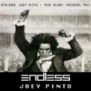 Joey Pinto & Endless - Fur Elise