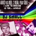 Avicii vs. Reel 2 Real feat. Dev - I Like To Dancing In The Levels (Dj Small Live Project Blend)