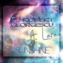 DJ Robert Georgescu feat. Lara - You Like