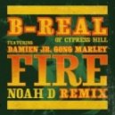 B Real Ft. Damian "Jr. Gong" Marley - Fire