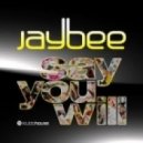 Jaybee & Dmitriy Tsoy - Say You Will (Dj Art-Div Mash-Up)