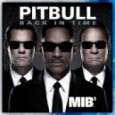 Pitbull - Back In Time (Gregor Salto Remix)