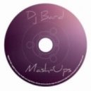 Sissoko Vs. Walter Master J & Criminal Vibes - Party On The Beach (Dj Bard-Mash-Up)