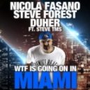 Nicola Fasano, Steve Forest & Duher feat. Steve Tms - Wtf Is Going On In Miami (Die Hoerer Remix)