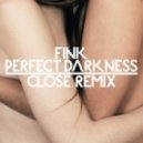 Fink - Perfect Darkness