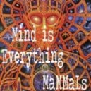 MaMMaLs - Mind is Everything ()