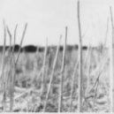 D2 Recondite - Jaded