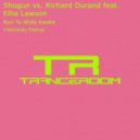 Shogun vs. Richard Durand feat. Ellie Lawson - Run To Wide Awake (V.Kaminsky Mashup)