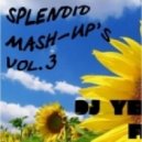 Fulanito Vs Israel Cruz - La Novela Party Up (Yerbol Fresh Mash-up)