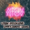 Litov - Pitch Love (VIP)
