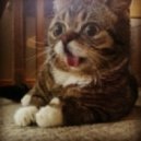 Mizuki’s Last Chance & Dr. Deimos ft. None Like Joshua - Time To Kill (Original Mix)