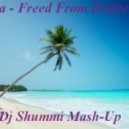 Gala - Freed From Desire 2012