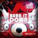 DJ HaLF - Burn It Down