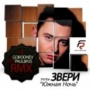 Звери - Южная Ночь