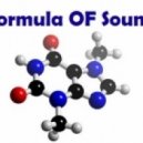 Formula OF Sound - Formula Of Emotions #13