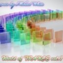 Mr. White - World of TRANCE vol.7