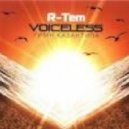 R-Tem - Voiceless