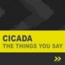 Cicada - The Things You Say (Fisso & Spark Remix)