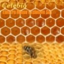Celebio - Electro House Exclusive Set ()