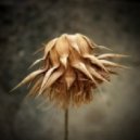 Sisscok - Dead Flower