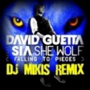 David Guetta feat. Sia - She Wolf (Falling To Pieces)